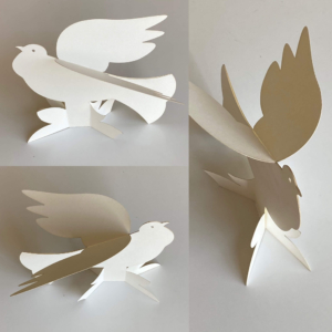 2022 Holiday Card, &copy;Julia Mulligan