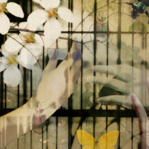 "Caged: Thoughts on Freedom in America, 2004". Limited edition archival print &copy; Julia Mulligan.