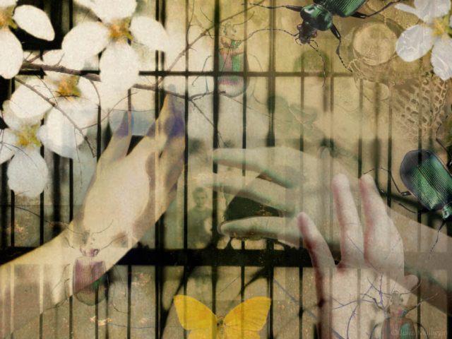 "Caged: Thoughts on Freedom in America, 2004". Limited edition archival print © Julia Mulligan.