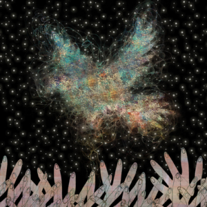 2019 Holiday Card (side b) &copy;Julia Mulligan