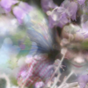 "Faeries in the Garden". 2006. Photo Montage. &copy; Julia Mulligan. 5" x 6.5"