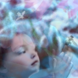 "Little Miracles Everywhere". Photo Montage. &copy; Julia Mulligan.  6 x 6 inches.