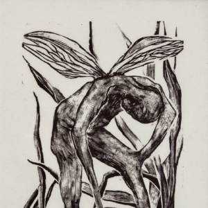 "The Metamorphosis", Wood Block Engraving. &copy; Julia Mulligan