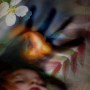 "The Dream", 2005. Photo Montage. &copy; Julia Mulligan. 5.5" x 6.5"