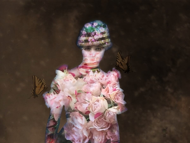 "The Time of the Butterflies",  Archival Print, ©Julia Mulligan