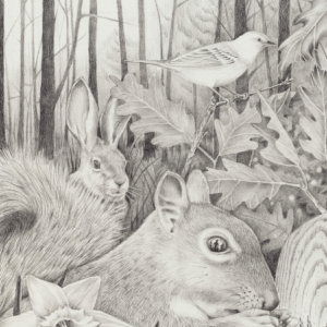 Detail, "What Was Left in the Woods"  Graphite on Rag Paper. 16" x 23".  &copy;Julia Mulligan 2016