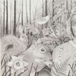 "What Was Left in the Woods"  Graphite on Rag Paper. 16" x 23".  &copy;Julia Mulligan 2016